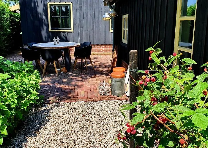 Op Stolk Dom wakacyjny *