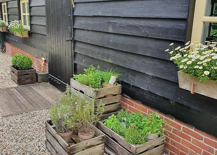 Op Stolk Dom wakacyjny